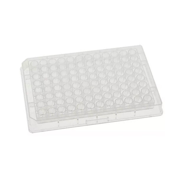Plate, 96 Round Well V-Bottom